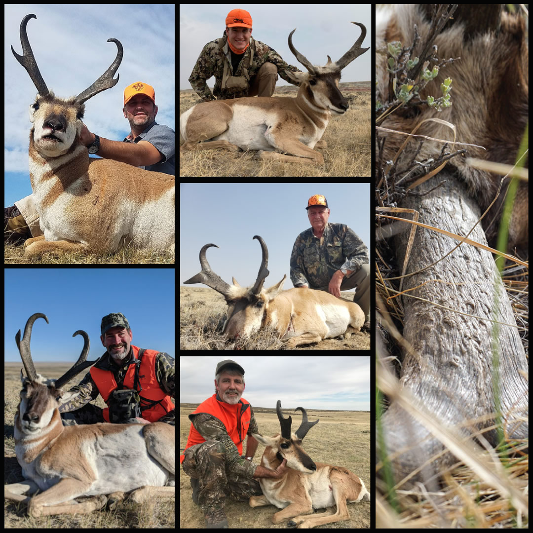 Hunters posing with their pronghorn antelope in the prairie of Wyoming