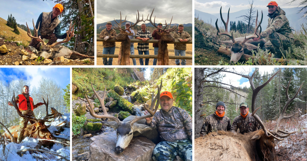 Hunters posing with their elk and mule deer trophies
