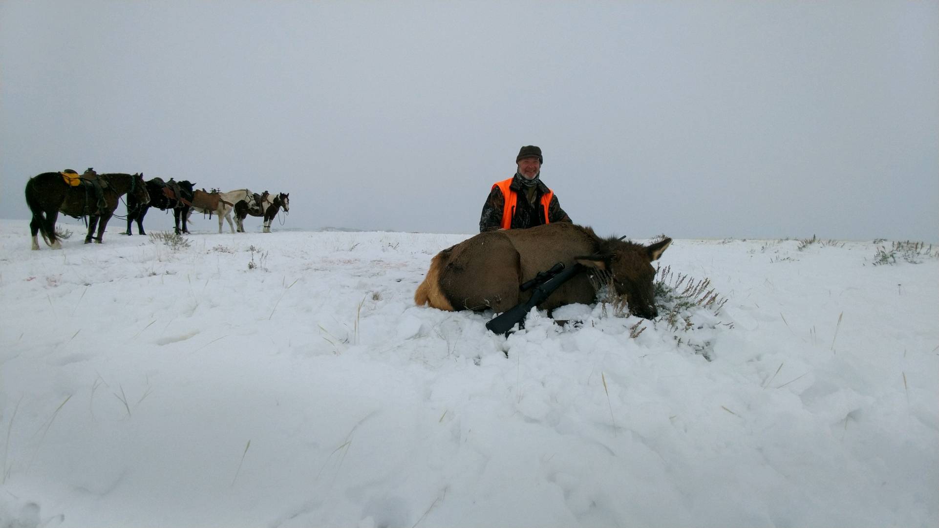 Wyoming Big Horn Sheep Hunt Trips