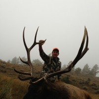 Wyoming Elk Hunting Opportunities: What’s Your Ideal Hunt?