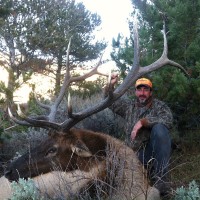Nonresident Wyoming Elk Applications Due by February 2nd