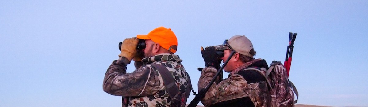 3 Rules to Follow When Glassing for Mule Deer