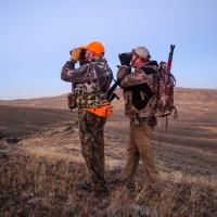 3 Rules to Follow When Glassing for Mule Deer
