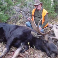 Wyoming Moose Hunting Applications Due March 2, 2015