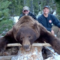 Why We Love Spring Bear Hunts