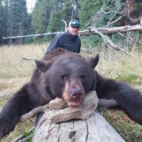 September on the Greys River: Fall Black Bear Hunts