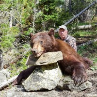 2016 Spring Black Bear Hunts Have Begun