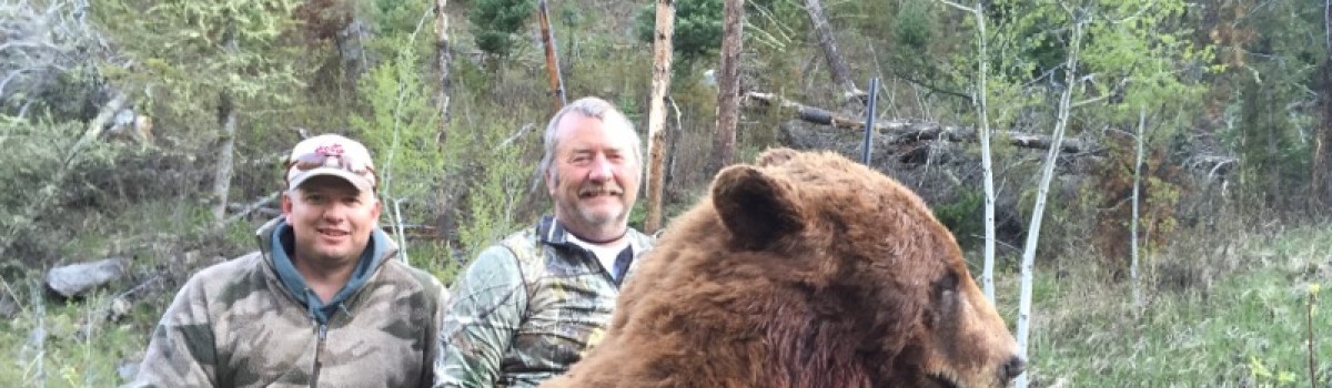 4 Spots Open for Fall Bear at the Box Y Lodge
