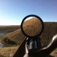 A Father-Son Antelope Hunt: A Story from the 2016 Season