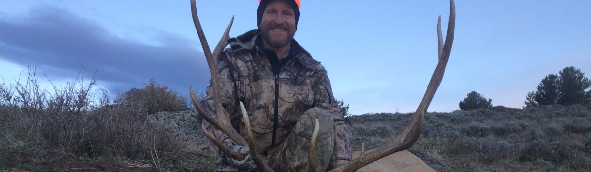 Archery Elk and Rifle Elk Hunting Opportunities