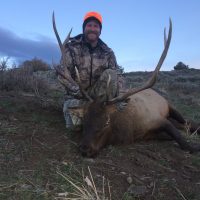 Archery Elk and Rifle Elk Hunting Opportunities