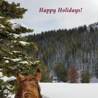 Merry Christmas from Your Friends at SNS in Wyoming