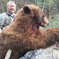 Openings for 2017 Spring Black Bear Hunts