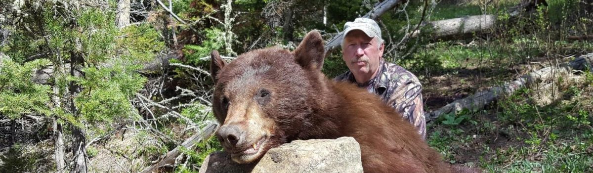 How to Prepare for a Spring Bear Hunt in Wyoming
