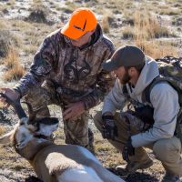 Experiencing A Spot and Stalk Trophy Antelope Hunt