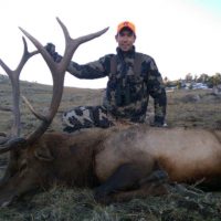 Wyoming Elk Draw Results are Now Available