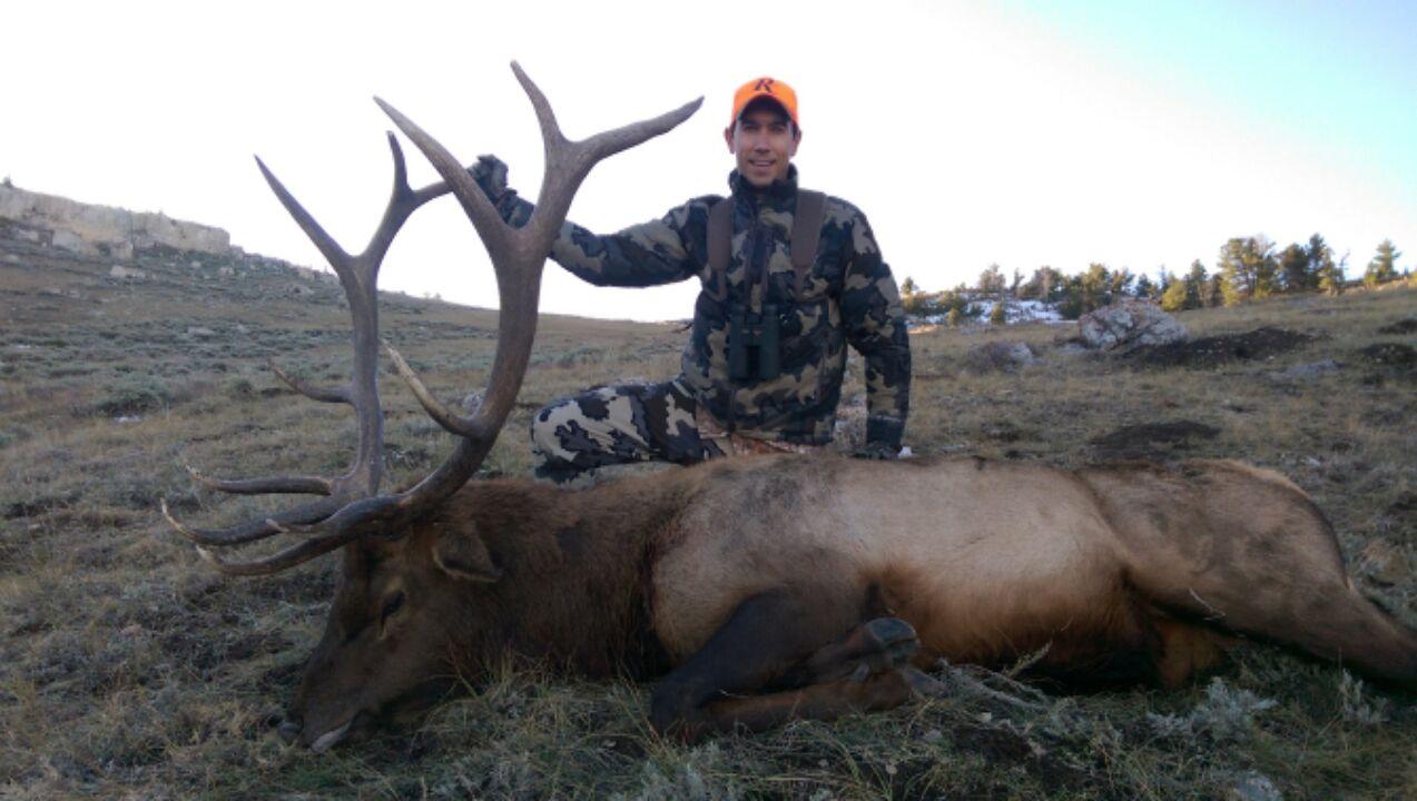 wyoming-elk-draw-results-are-now-available