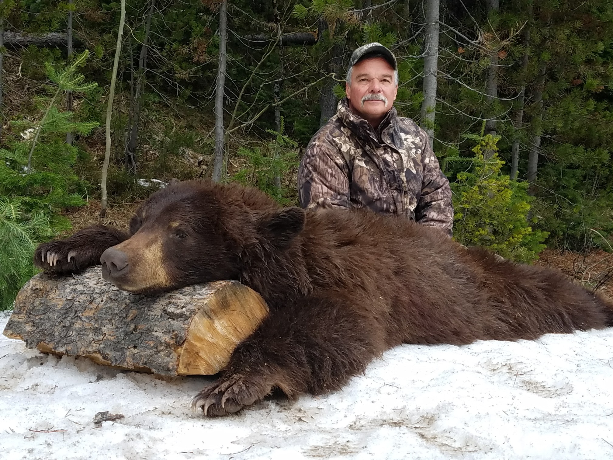 Wyoming Spring Bear Hunting Update