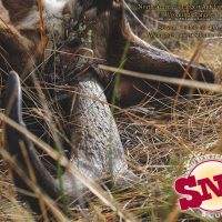 2017 Edition SNS Outfitter and Guides Hunting Brochure