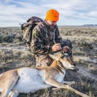 Antelope Hunting Basics: What to Expect on a Pronghorn Hunt