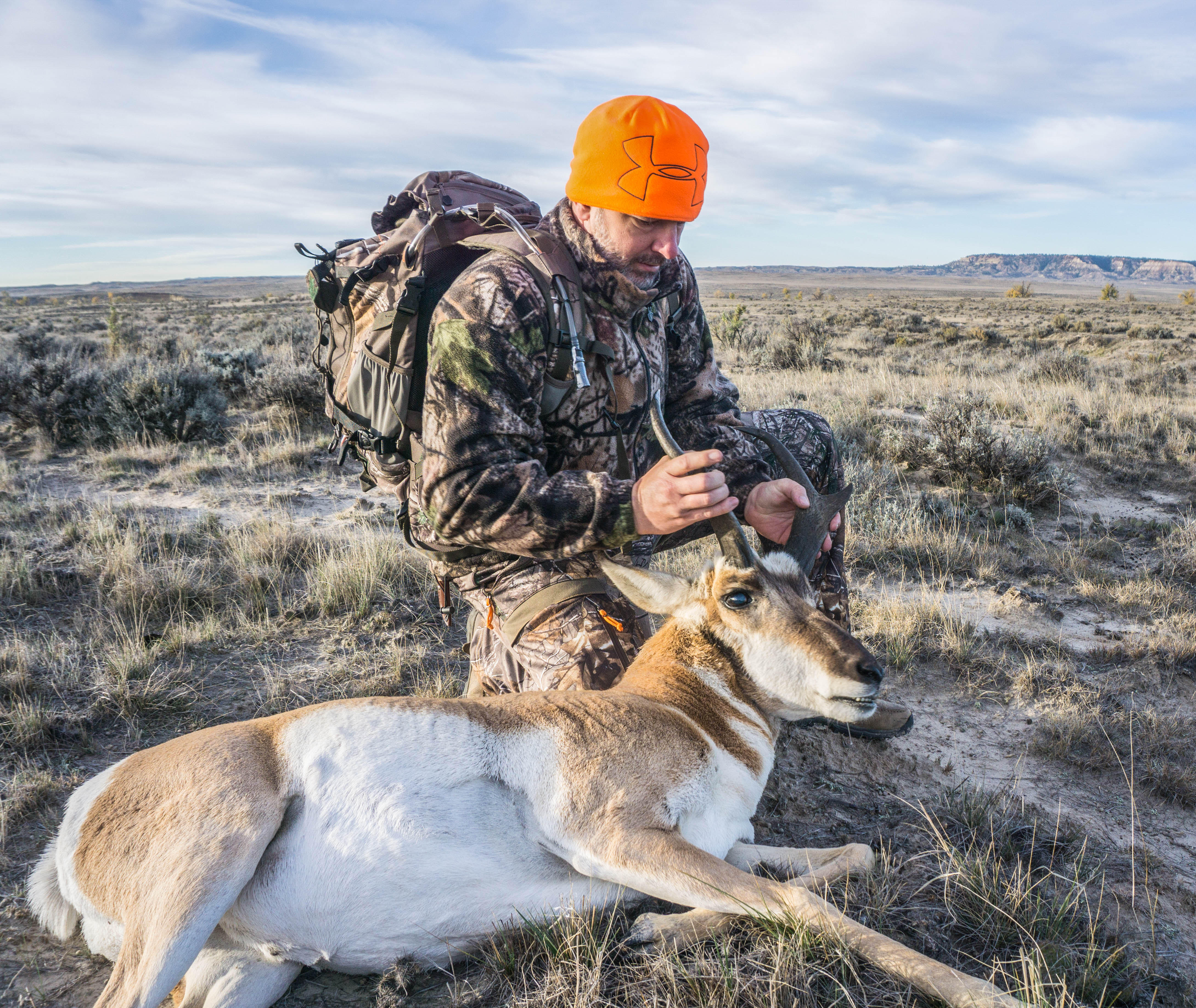 Why Hunting Deer is a Challenge: 5 Reasons You're Not Seeing Them