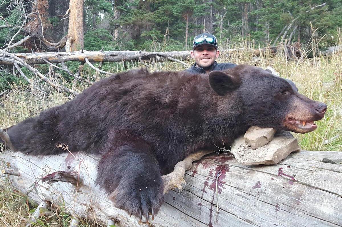 Fall Bear Hunt