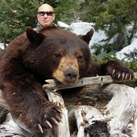 Additional Fall Bear Hunts Added to the 2017 Schedule
