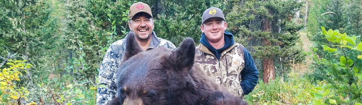Fall Black Bear Hunting Roundup from Wyoming