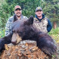 Fall Black Bear Hunting Roundup from Wyoming