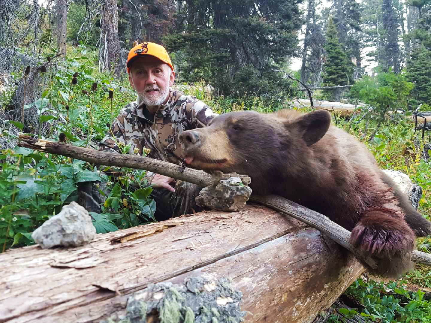 Fall Black Bear Hunting Roundup from Wyoming | Wyoming Hunting News