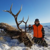 Don’t Miss the 2018 Wyoming Elk Application Deadline