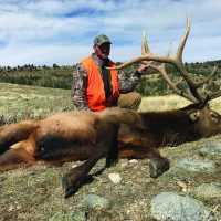 REMINDER: Elk Application Deadline is January 31st