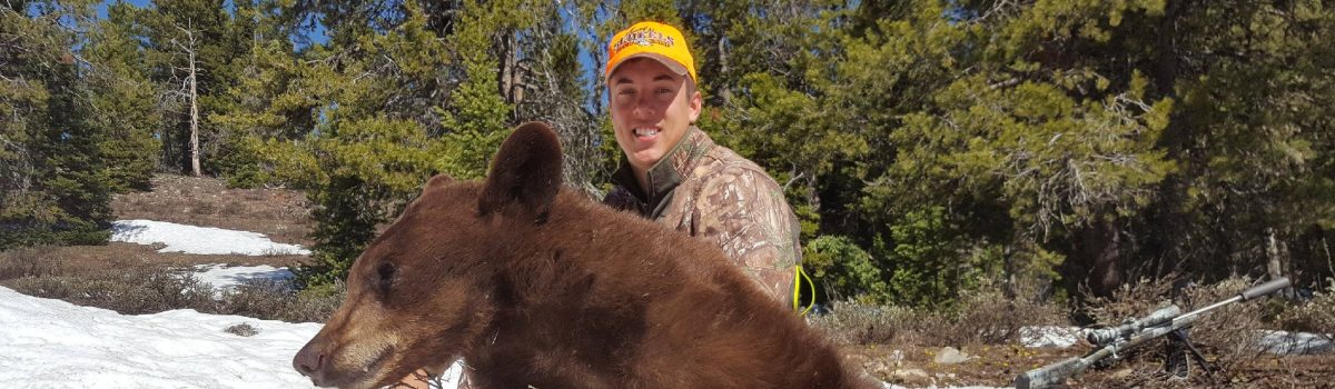 NEW Spring Black Bear Hunts Added: June 4 – June 8, 2018