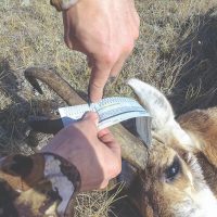 2018 LIMITED Antelope Hunts — Hunt With SNS Outfitter & Guides