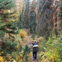 Fall Black Bear Hunting Season Preparation: Bear Baiting