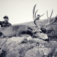 2018 Wyoming High Country Mule Deer Recap