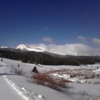 A Spring Update Out of Wyoming