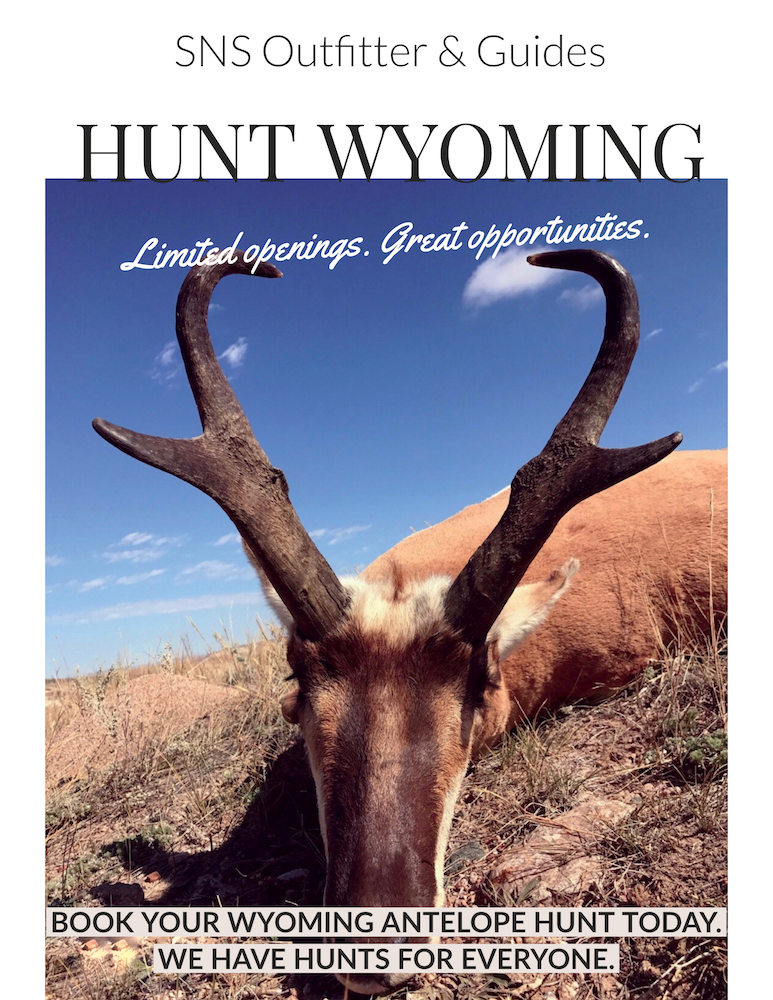 Antelope Hunting Wyoming