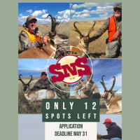 Last Call for Antelope Hunting in 2019