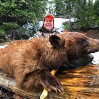 Spring Bear Hunting in Wyoming