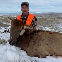 Cow Elk Hunting with SNS Outfitter & Guides