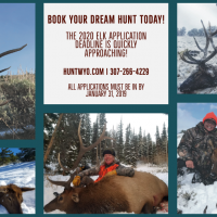 2020 Wyoming Elk Application Reminder