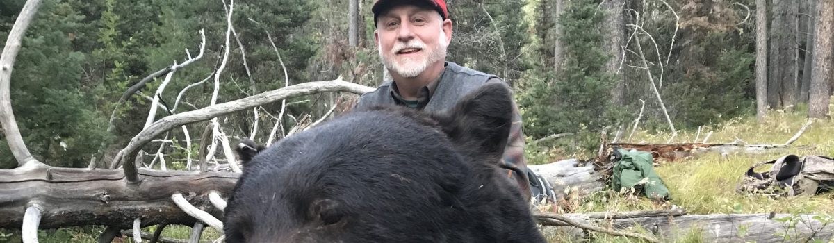 Fall in Love with Fall Black Bear Hunting