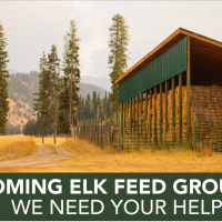 Wyoming Elk Feed Grounds: need your help