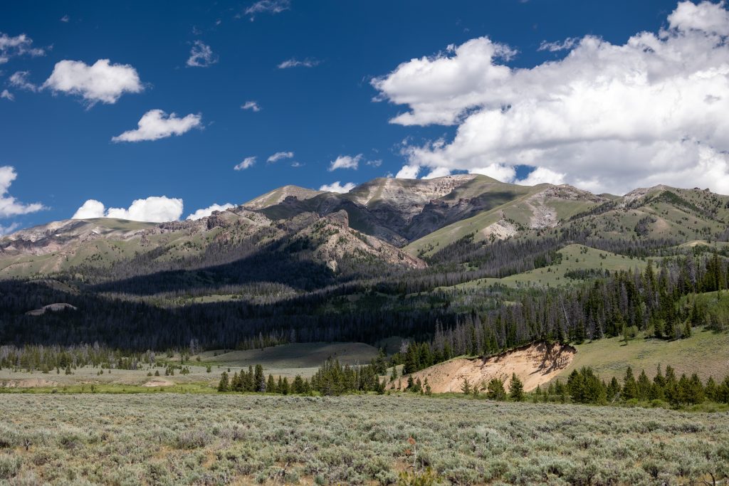 A view of the Shoshone National Forest where our wilderness pack-in elk hunts take place.