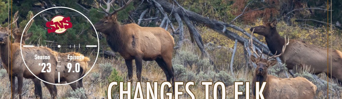Changes to Elk Hunting in Wyoming