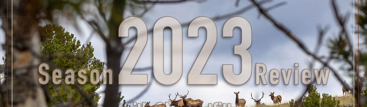 Hunting Season Success in 2023