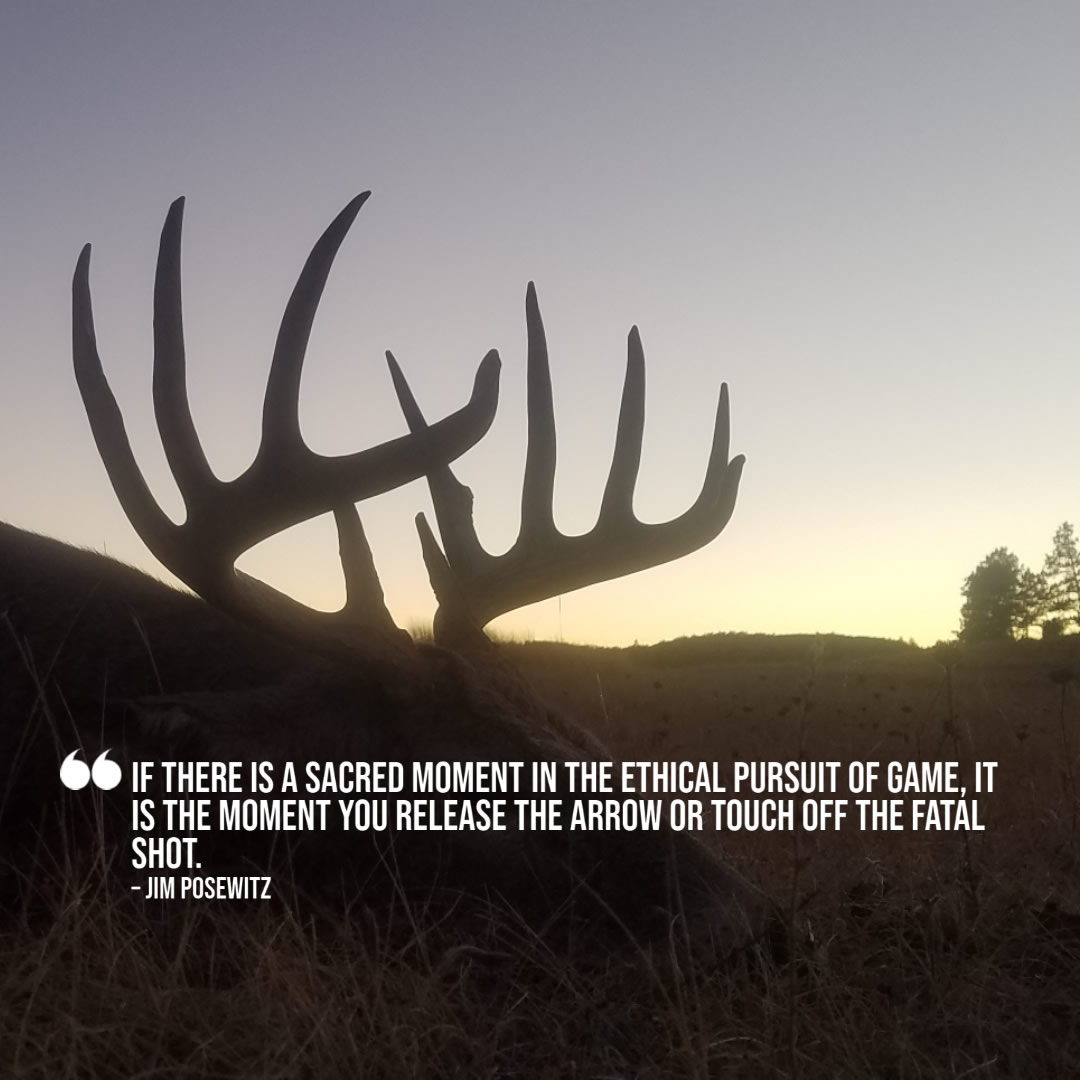 Wyoming Whitetail Deer Hunts