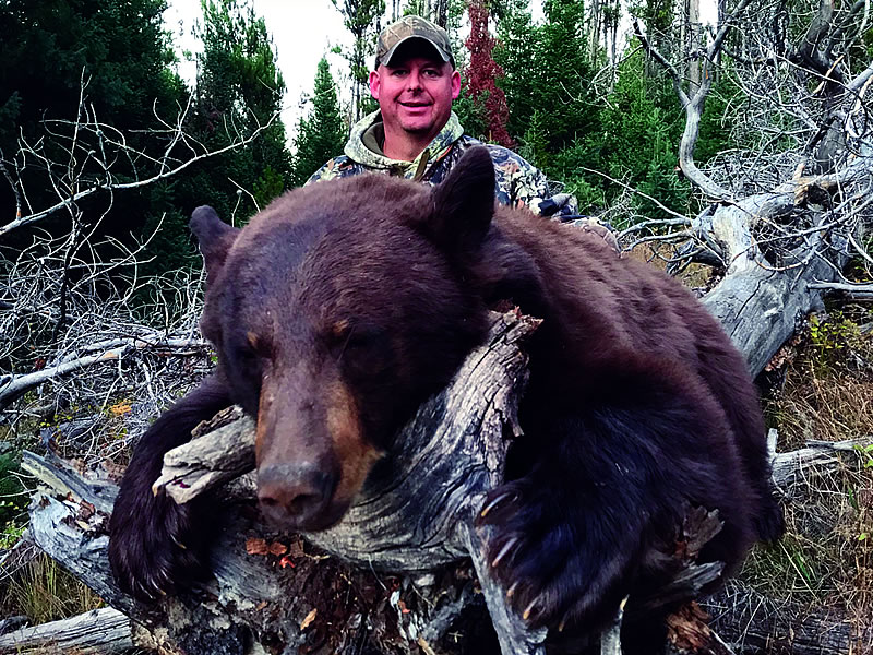 Sns Bear Hunts 6