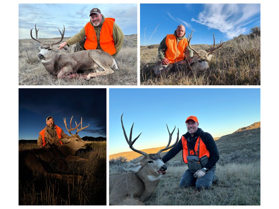 Hunting in the Rut 1